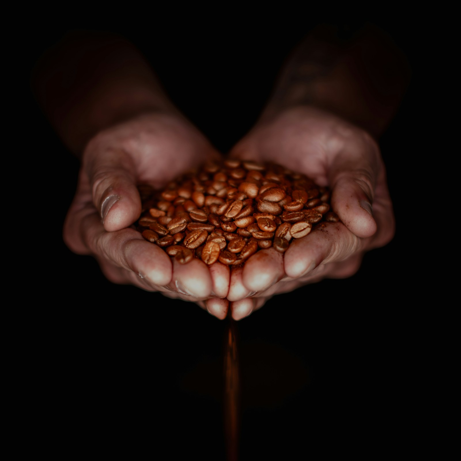 Freshly roasted specialty coffee beans